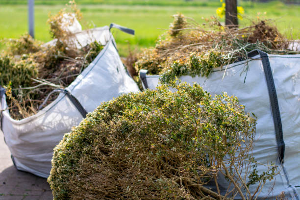 Best Furniture Removal Near Me  in South Euclid, OH